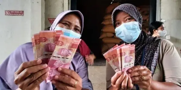 cek bansos pkh bpnt