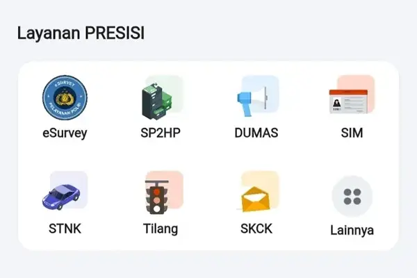 skck online